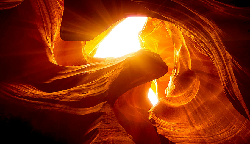 金年会金字招牌信誉至上入口制药盛装参展2024西鼎会，共绘健康产业新蓝图！